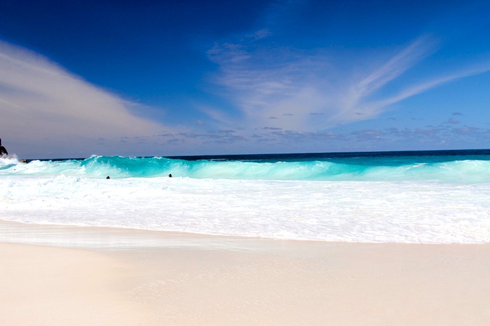 seashore during daytime