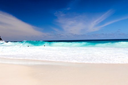 seashore during daytime