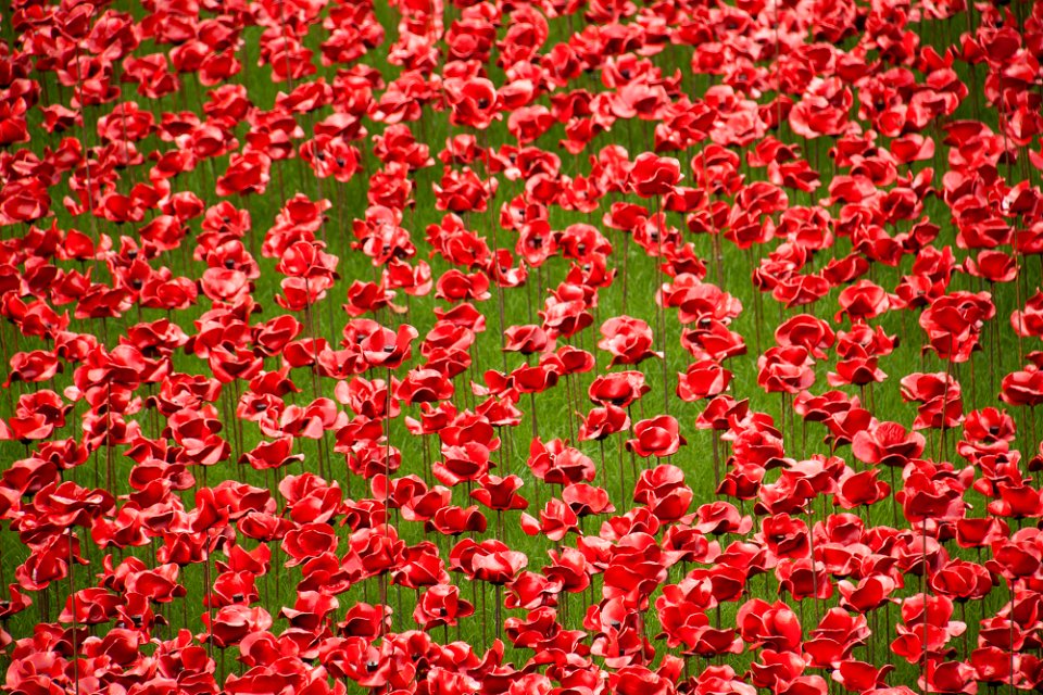 London, United kingdom, Red