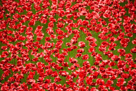 London, United kingdom, Red