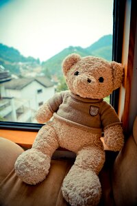 The bear bed and breakfast leisure