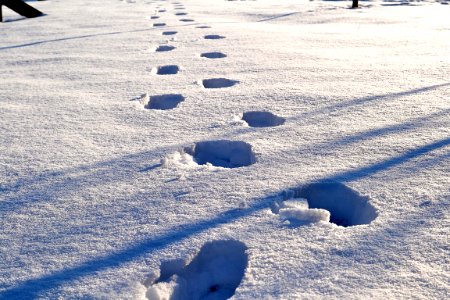 Footprint, Snow