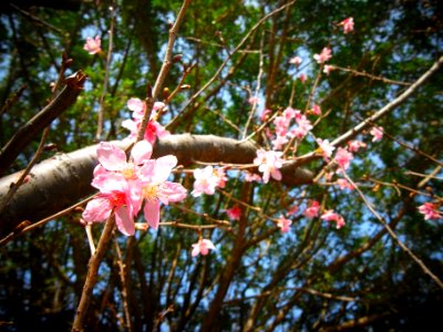 Yangmingshan national park, Taiwan