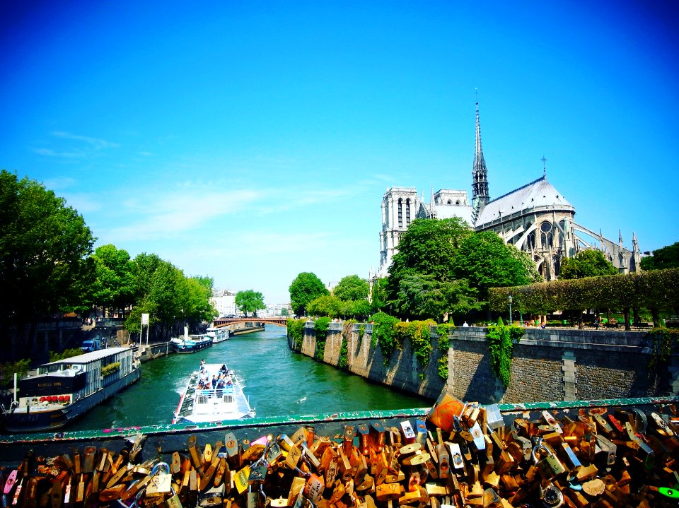 Paris, France, Cathdrale notredame de paris