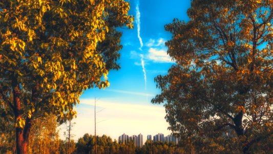 Scape, City, Golden
