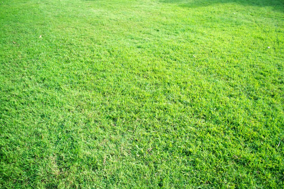 Bangkok, Thail, Ground 