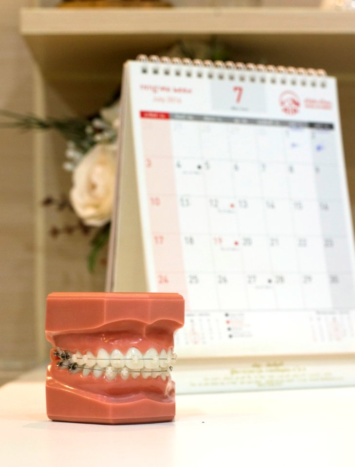 Dentition, Dentist, Dental