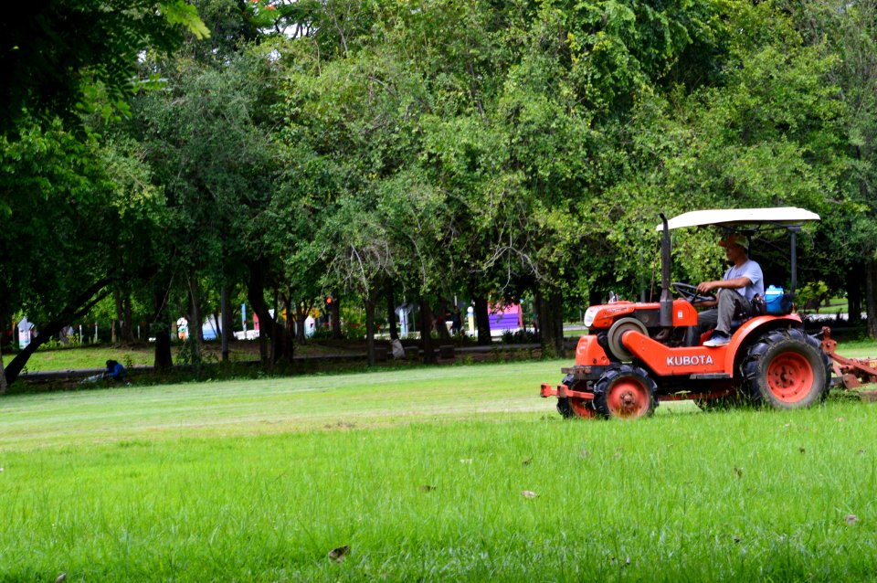Lawn, Mowers, Farmer