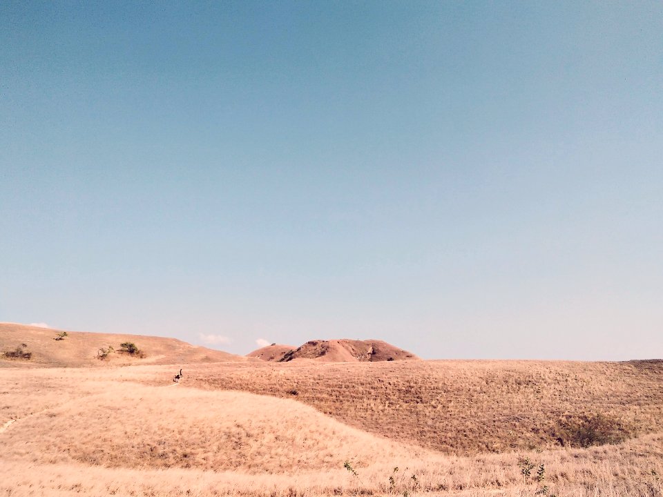 Rinca komodo travel, Indonesia