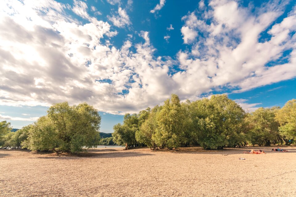 Sunshine river part