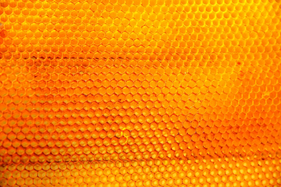 A yellow bubble texture pattern.