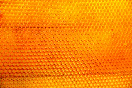 A yellow bubble texture pattern.