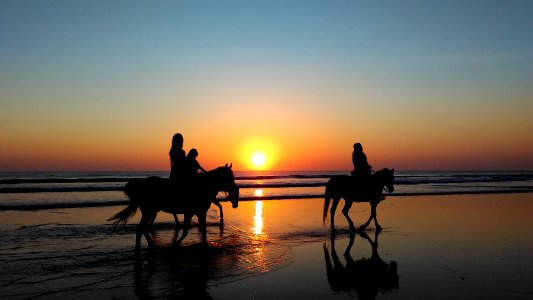 silhouette of three person riding on horse beside sea during golden hour