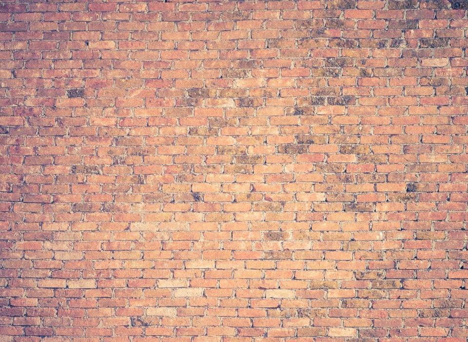 brown brick wall photography