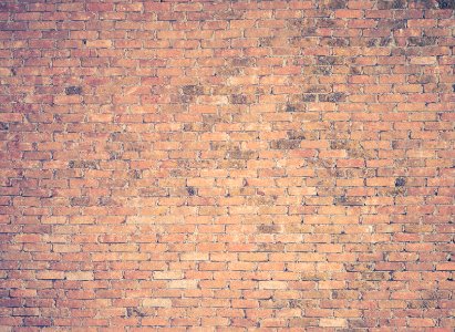 brown brick wall photography