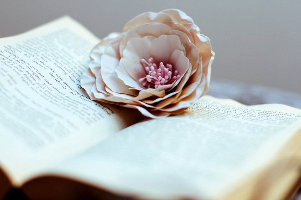 Reading, Book, Flower