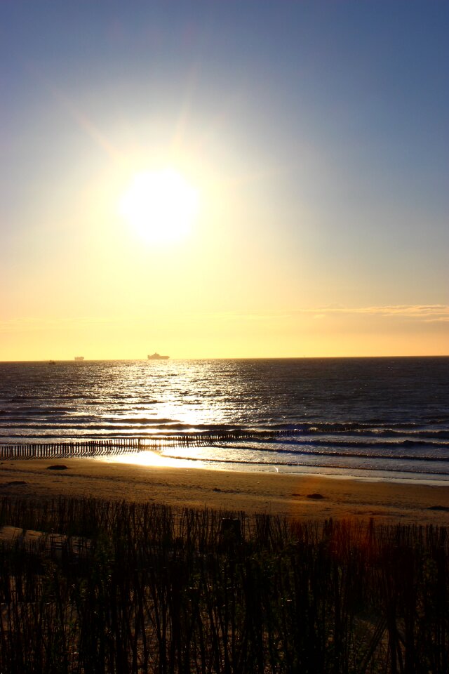 North sea beach summer