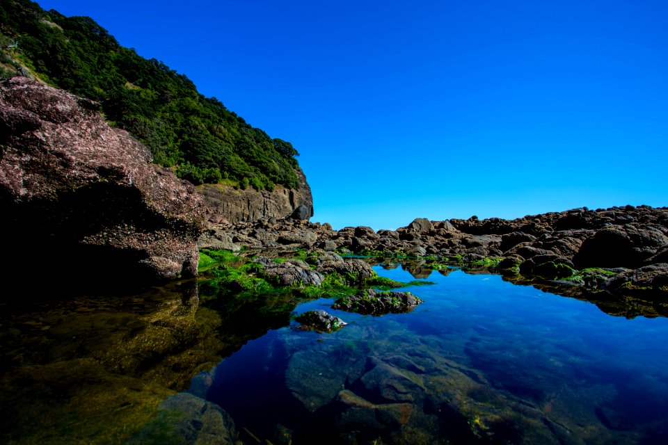 White s beach, Auckl, New zeal