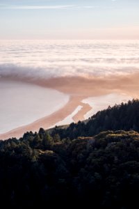 forest and clouds during day