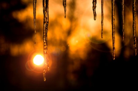 Winter, Sunset