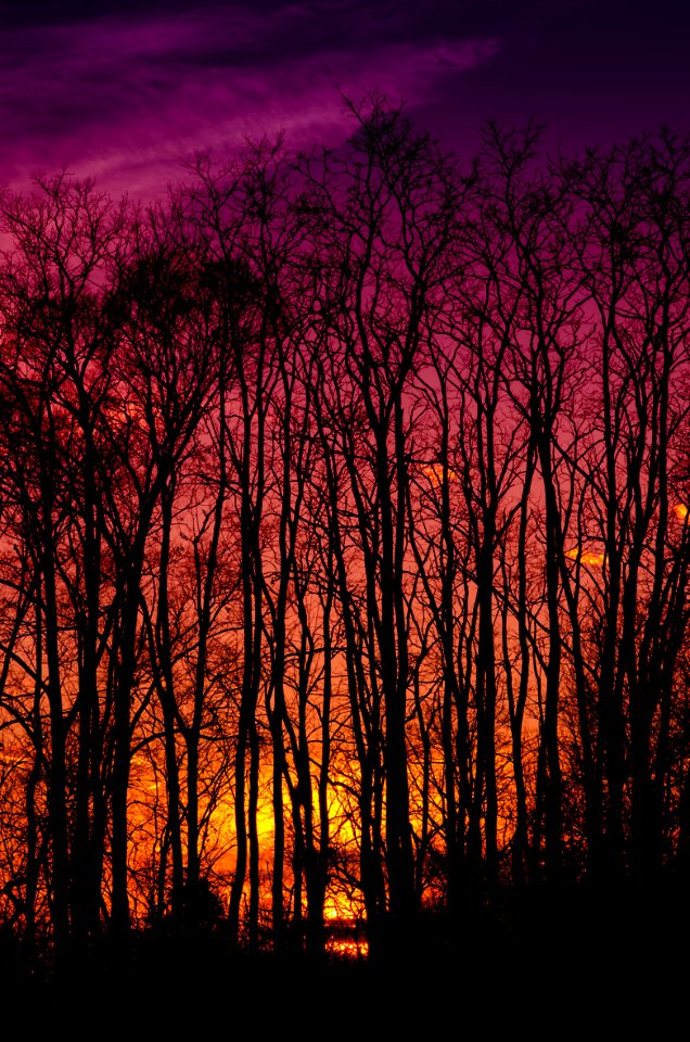 Hues, Metrodetroit, Michigan