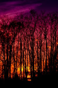 Hues, Metrodetroit, Michigan