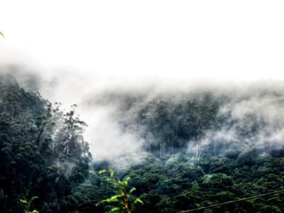 Scenery, Scenic, Canon