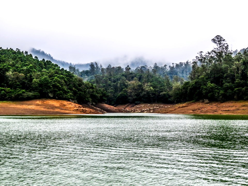 Forest, Adventure, Scenery