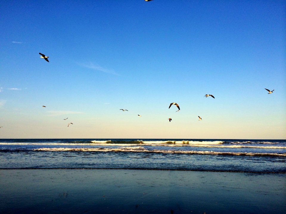 Cocoa beach, Florida, United states