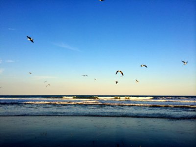 Cocoa beach, Florida, United states