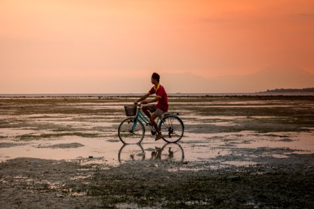 person in red top riding blue city bicycle