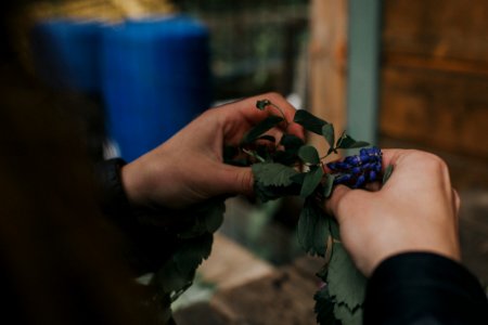 The outback farm, Bellingham, United states photo