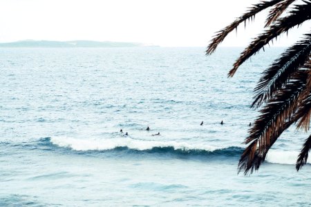 people swimming on sea during daytime photo