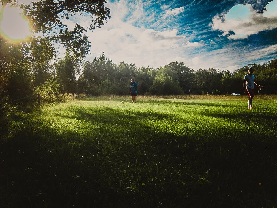 Grass