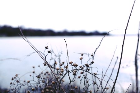 Dallas, United states, Silence