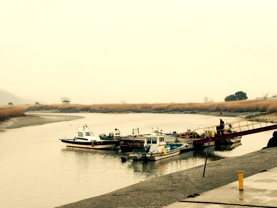 Marshy l, Korea, Suncheon