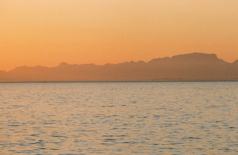 Gordons bay, Cape town, South africa