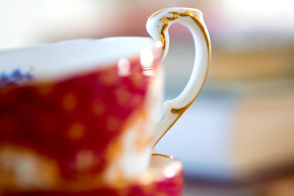 Stellenbosch, South africa, Tea cup