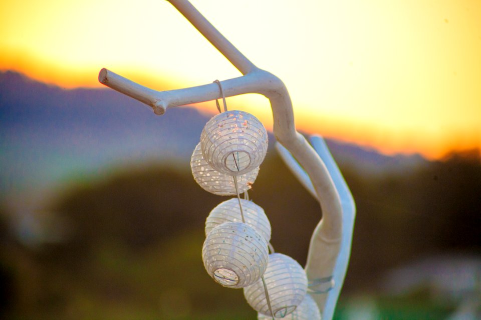 Stellenbosch, South africa, Lanterns