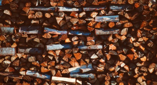 close up photography of brown firewood photo