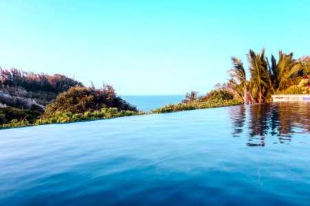 infinity pool beside trees during daytime photo