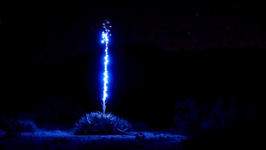 In borrego springs, United states
