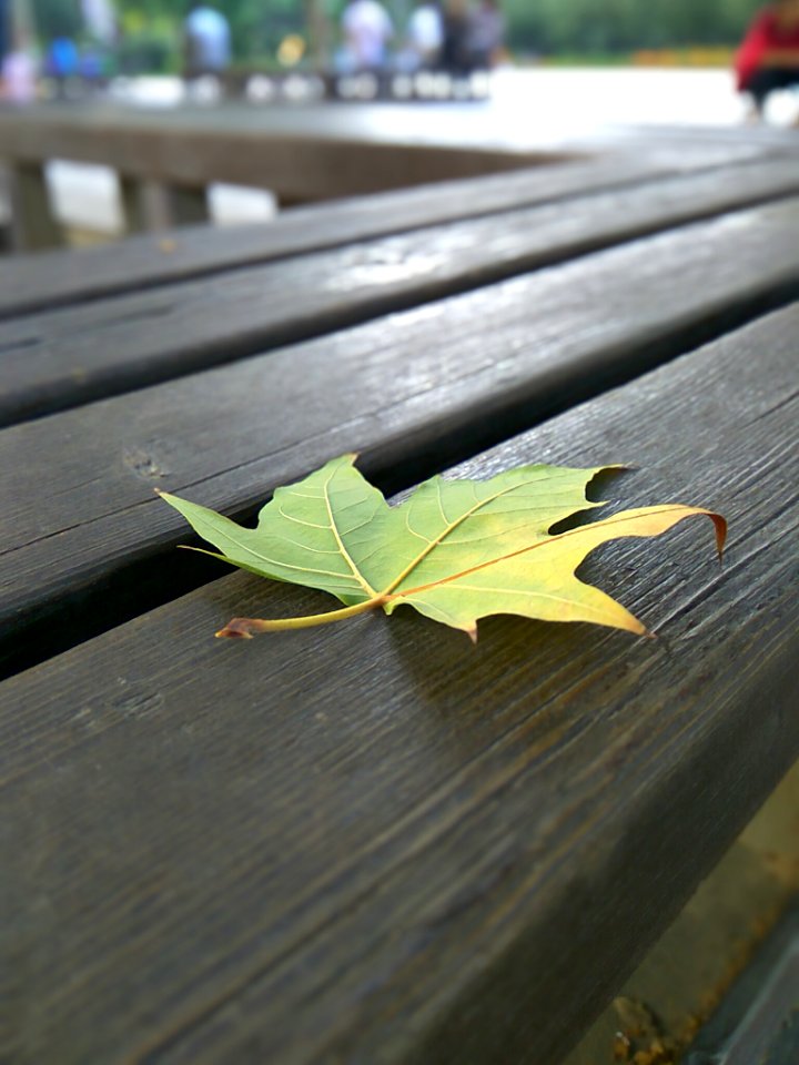 Autumn in