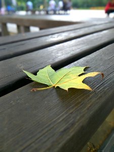 Autumn in