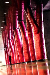 Tree, Architecture, Design
