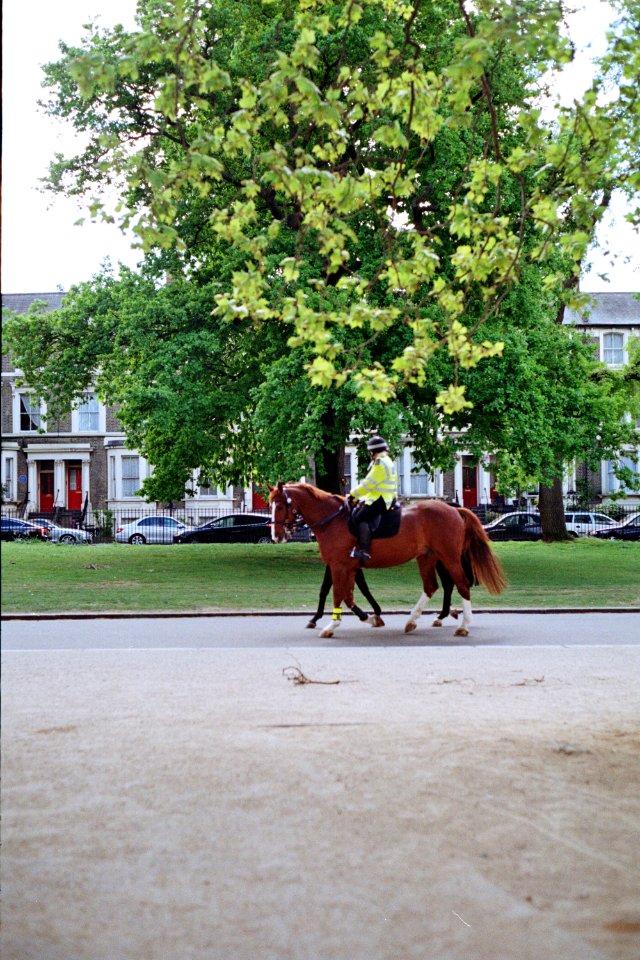 Victoria park, Bow, United kingdom