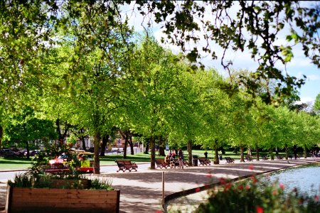 Victoria park, Bow, United kingdom