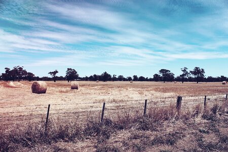 Farm fence blue sky