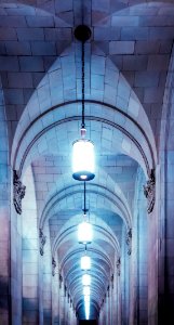 Arcs, Curves, Light