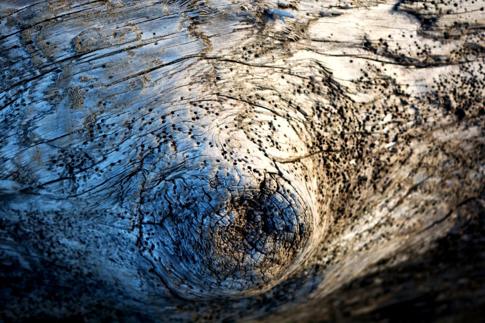 Newport, United states, Macro